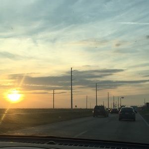 Meet your Posher, Riley